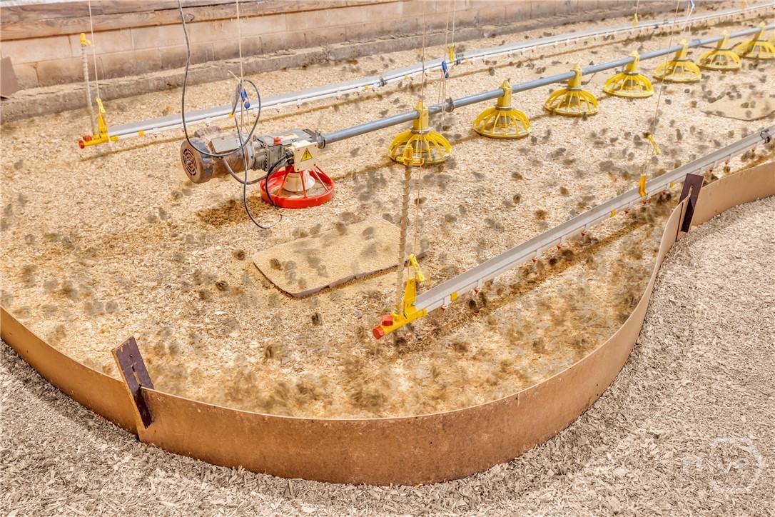 197 Joan Smith Road Hull, GA 30646 - Photo 62 of 69