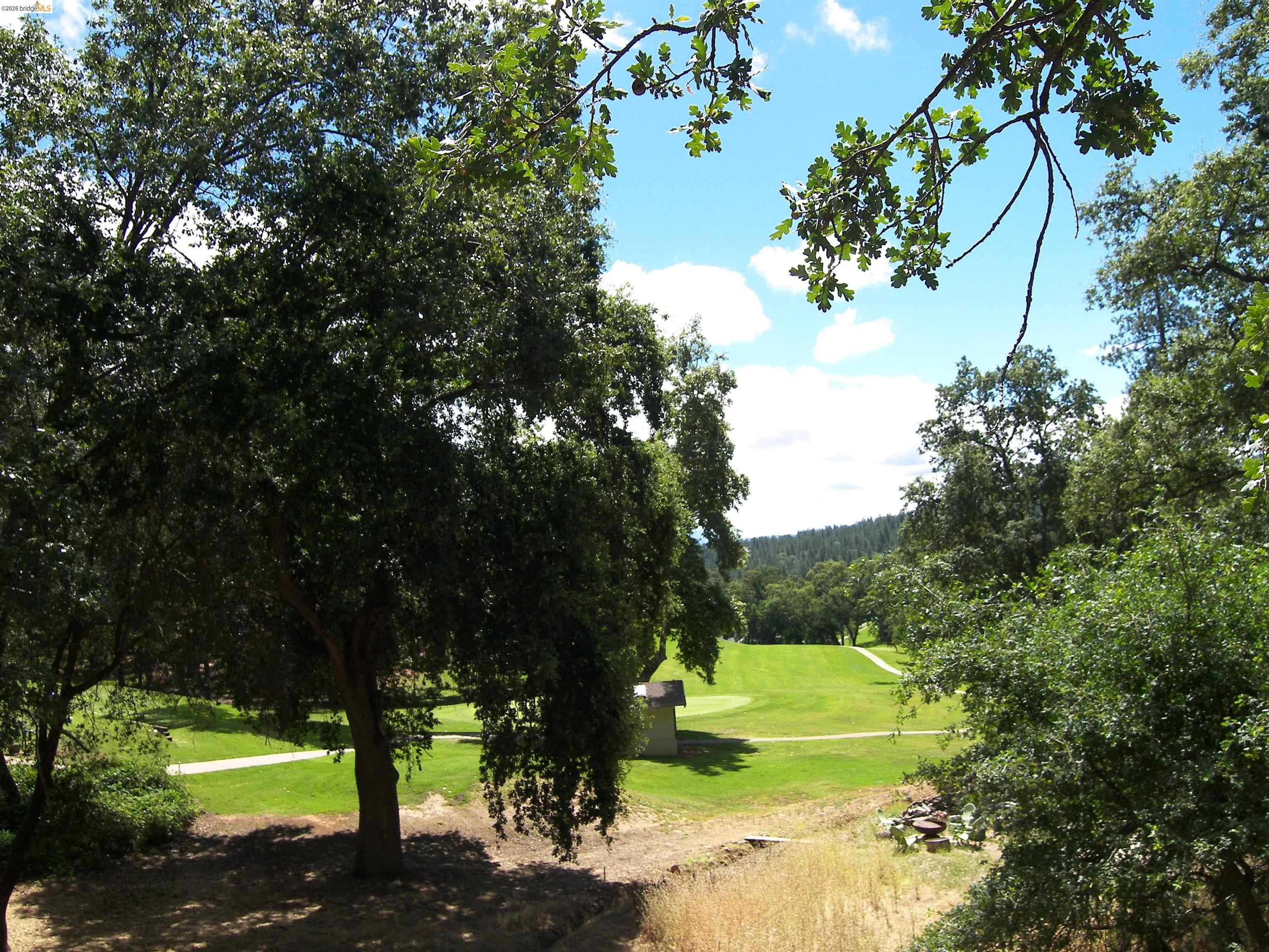 19215 Ferretti Road Groveland, CA 95321 - Photo 3 of 40 Expansive outdoor setting featuring mature trees, a manicured green, and a winding golf cart path