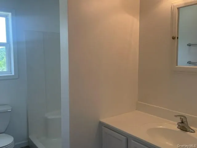 a bathroom with a sink and a toilet