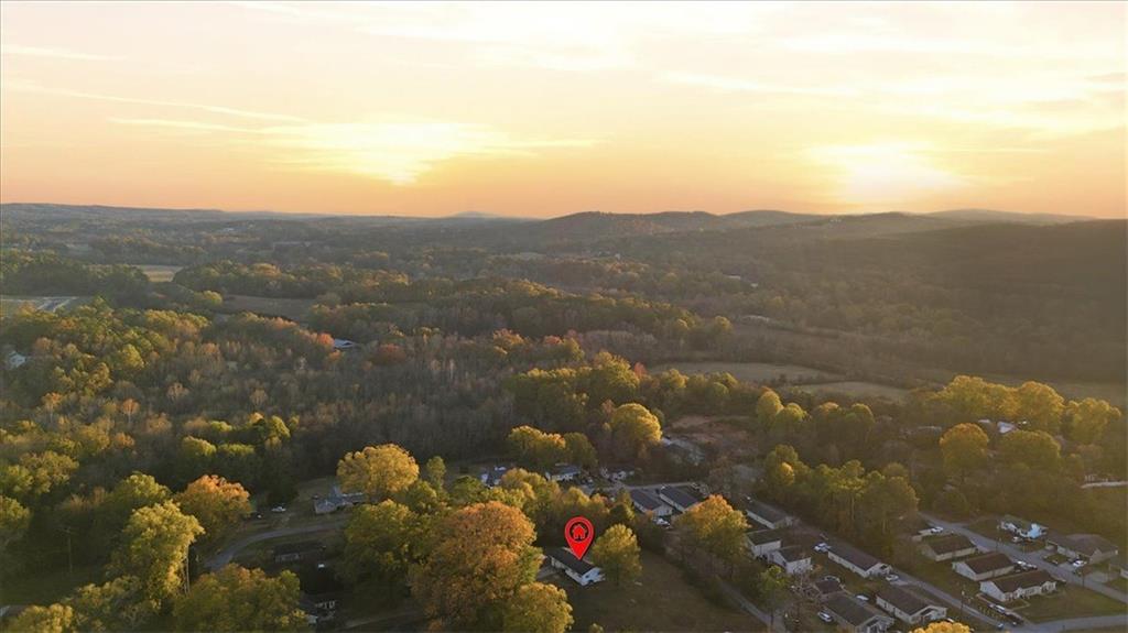 121 Ripley Avenue Adairsville, GA 30103 - Photo 42 of 43 a view of a lake