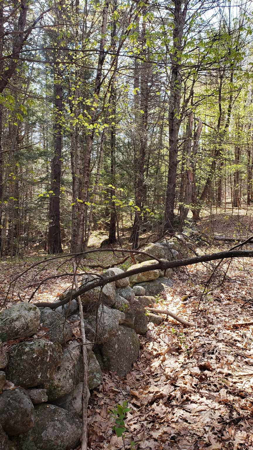 590-fx Flanders Road Henniker, NH 03242 - Photo 4 of 15
