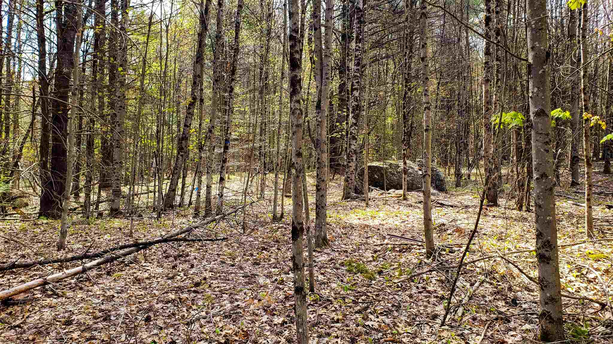 590-fx Flanders Road Henniker, NH 03242 - Photo 5 of 15