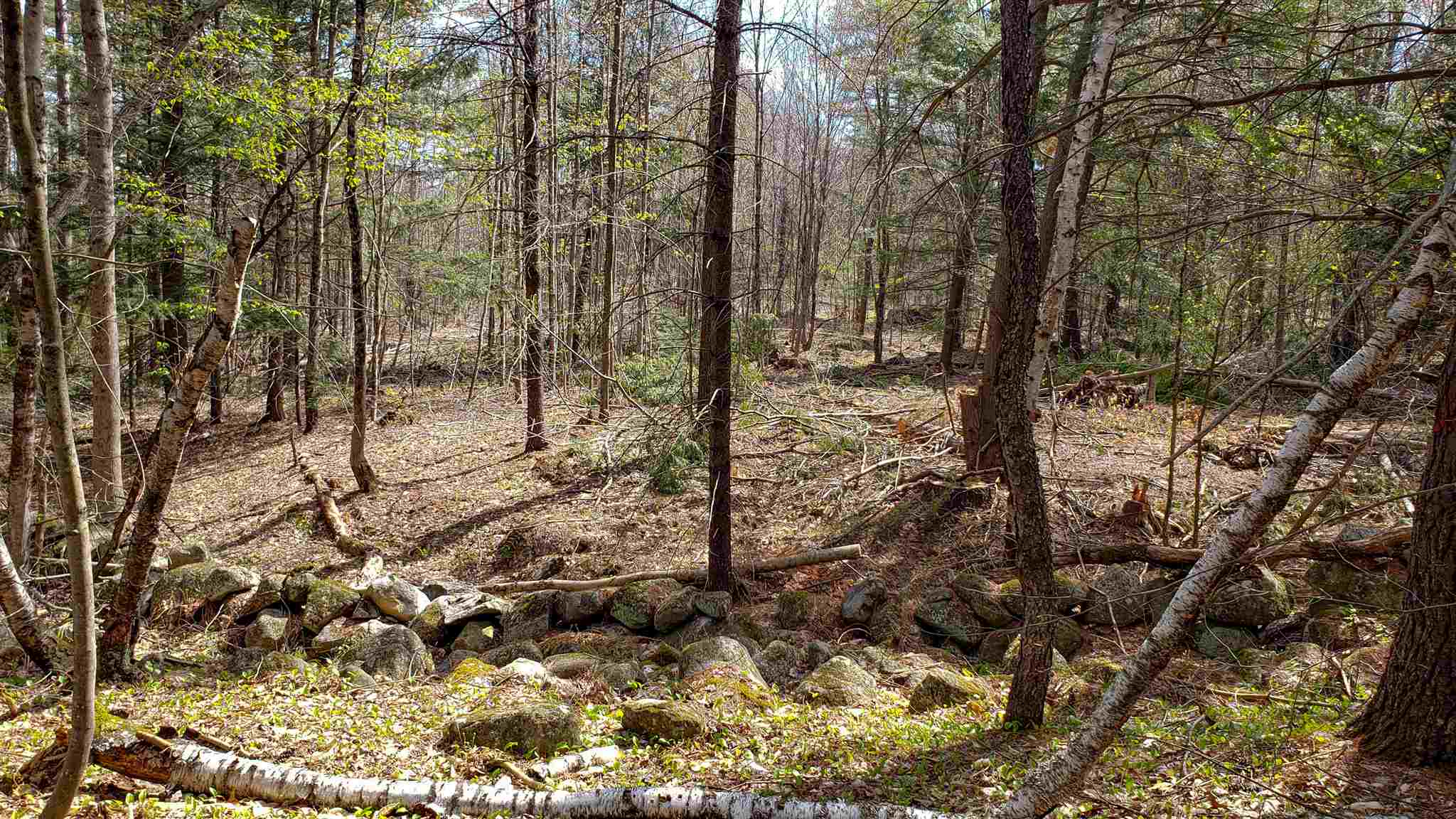 590-fx Flanders Road Henniker, NH 03242 - Photo 6 of 15