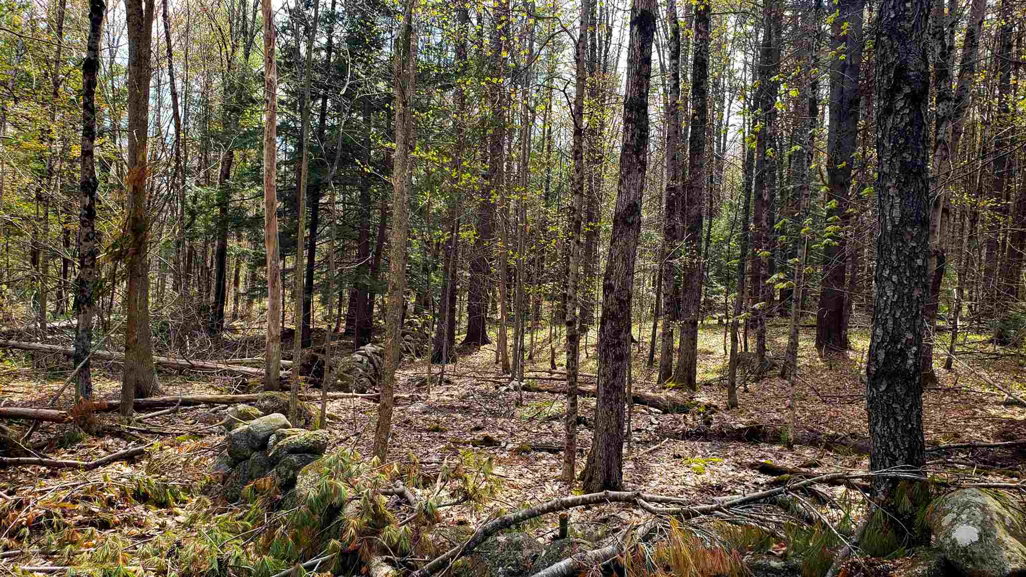 590-fx Flanders Road Henniker, NH 03242 - Photo 7 of 15