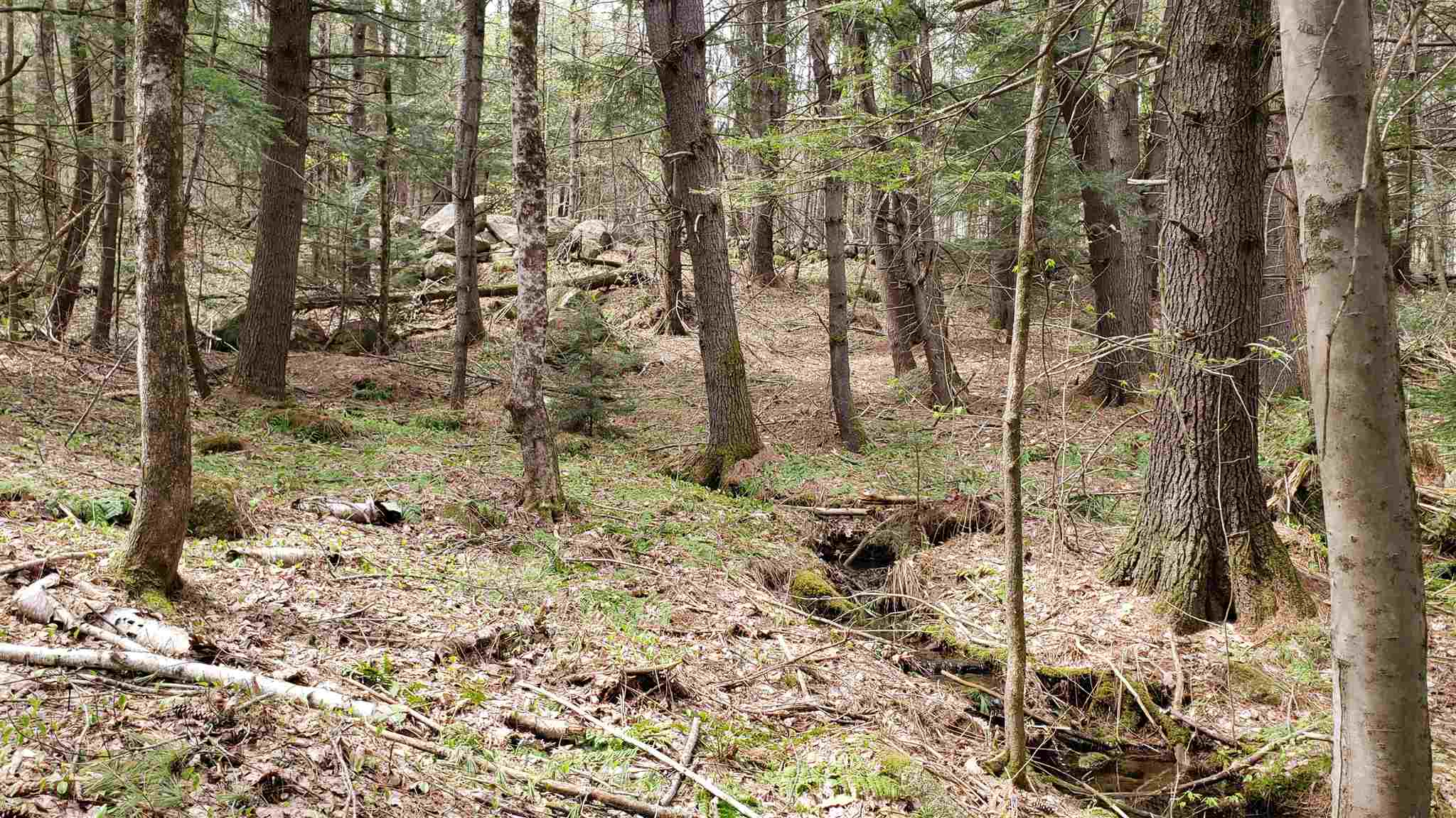 590-fx Flanders Road Henniker, NH 03242 - Photo 8 of 15