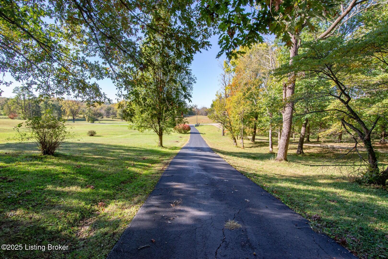 615 Buck Knobs Road Ekron, KY 40117 - Photo 38 of 54 Long paved driveway facing the road.