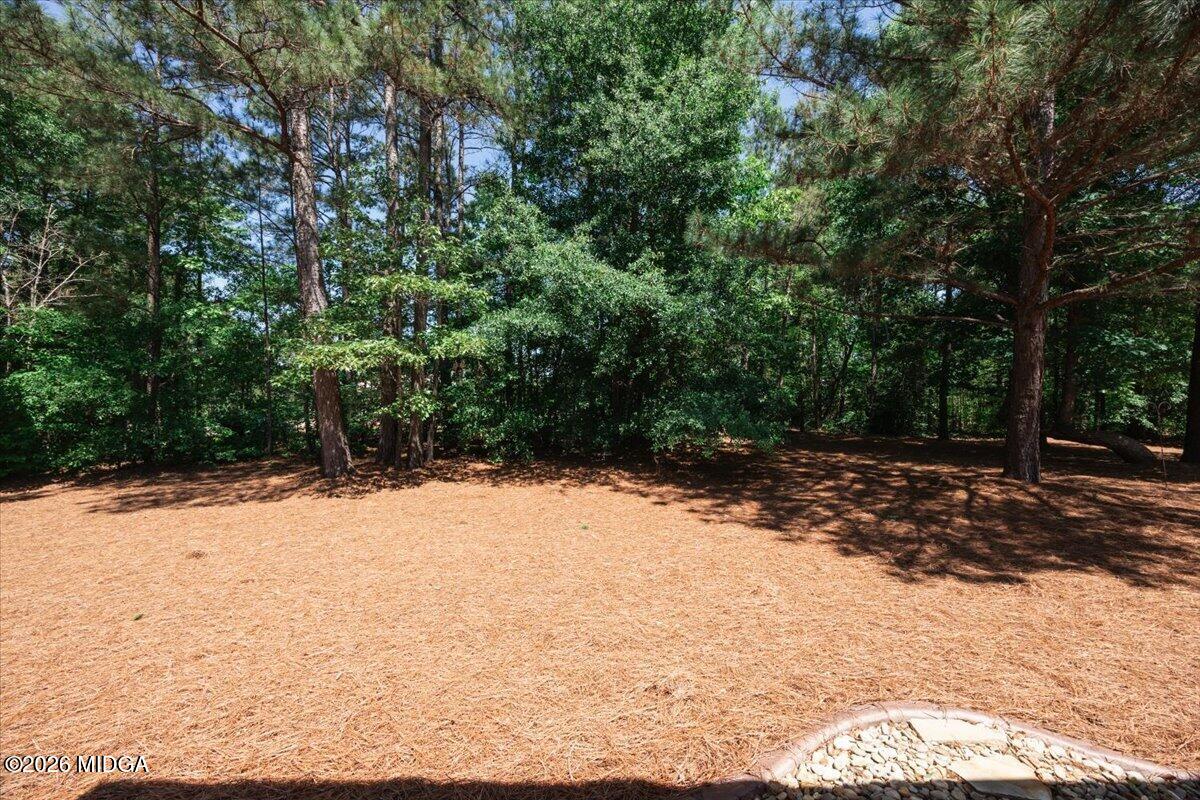 105 Freedom Drive Forsyth, GA 31029 - Photo 45 of 66 AllysonMoodyHomes