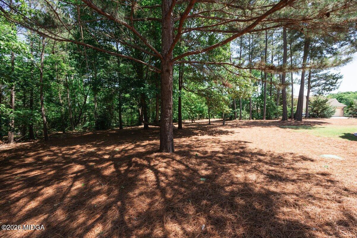 105 Freedom Drive Forsyth, GA 31029 - Photo 46 of 66 AllysonMoodyHomes