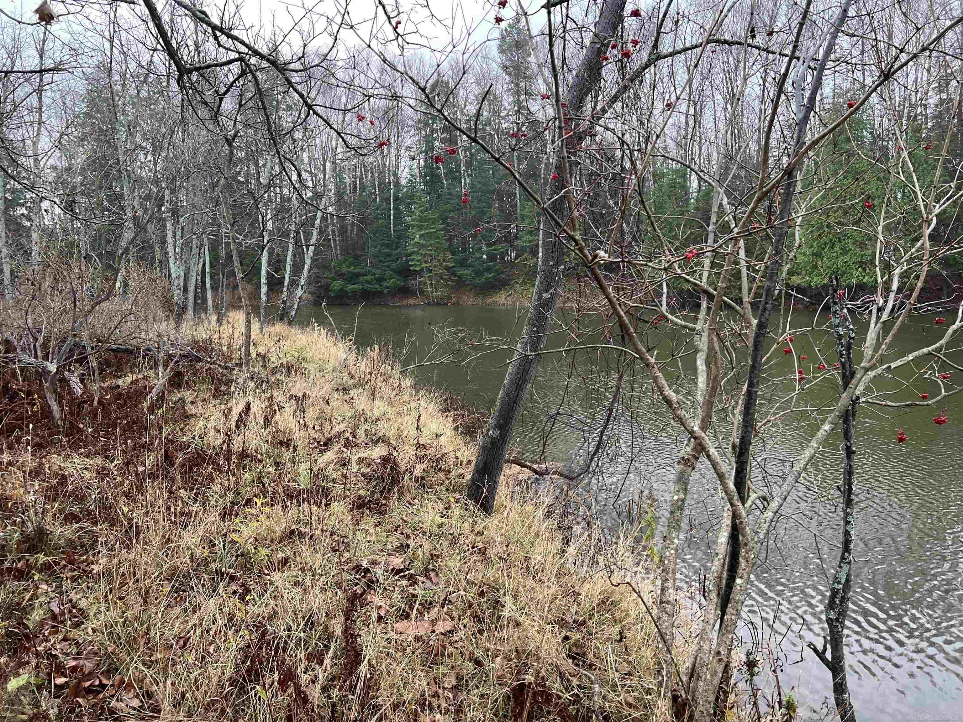 Long Rapids Road Alpena, MI 49707 - Photo 31 of 47 Gallery Image 31
