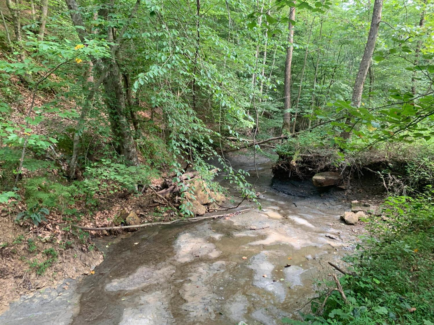 0 Upper Cane Creek Road Stanton, KY 40380 - Photo 17 of 34 Photo 18
