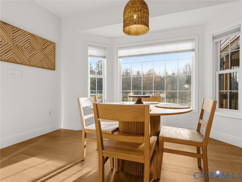 9310 Beaver Bridge Road Moseley, VA 23120 - Photo 21 of 66