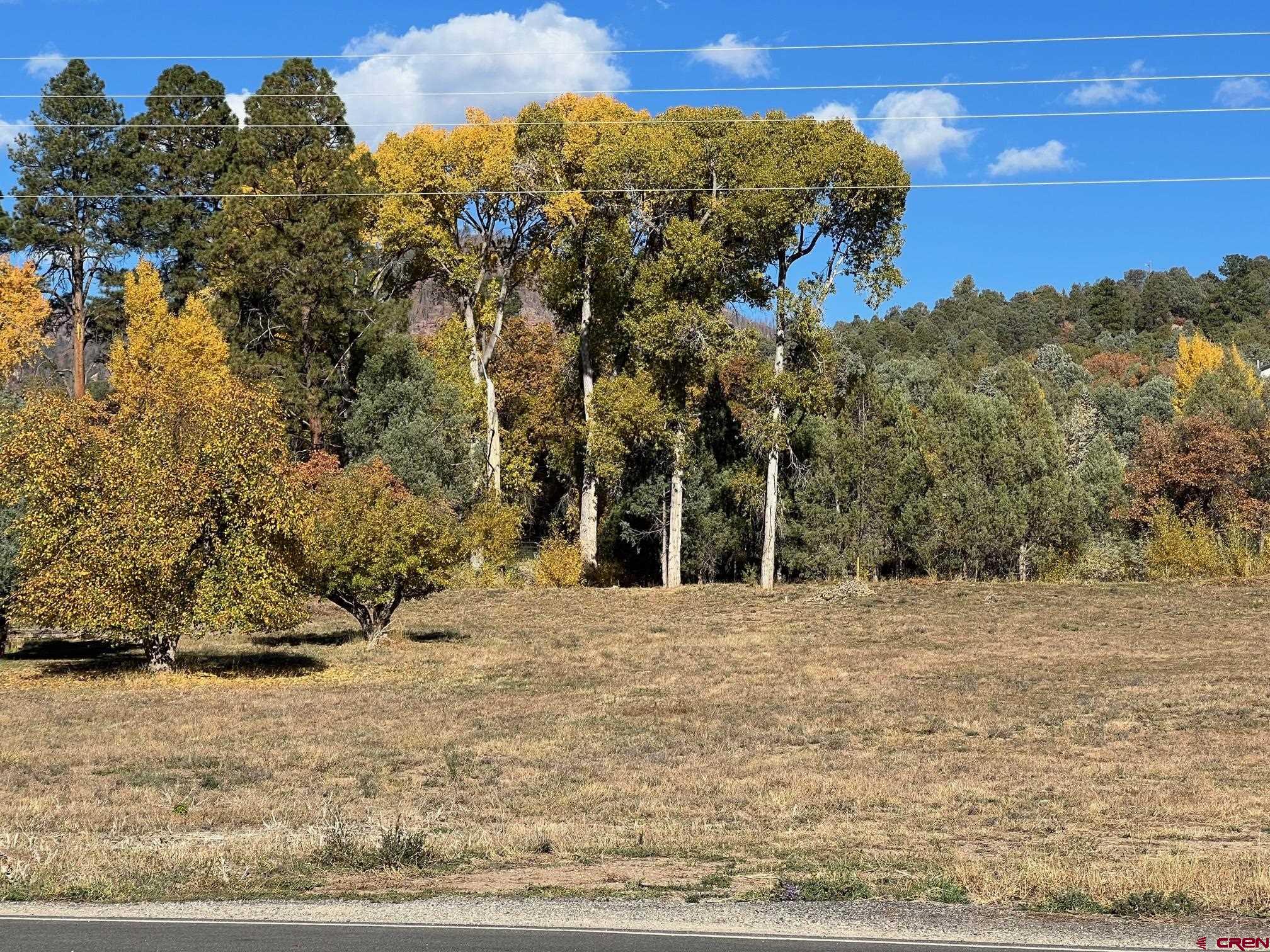 5 County Road 201 Durango, CO 81301 - Photo 12 of 26 a view of a yard