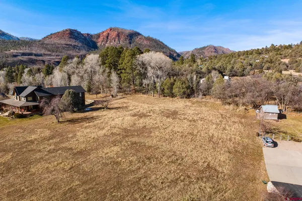 a view of a dry yard with mountains in the background