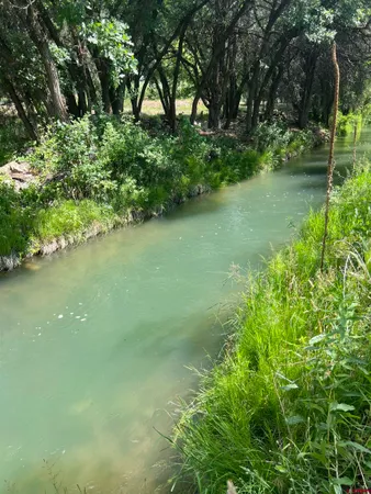 a view of a lake with a yard