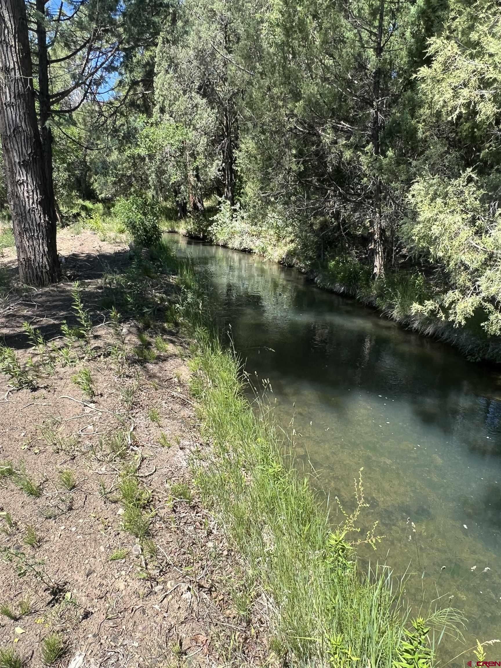 5 County Road 201 Durango, CO 81301 - Photo 6 of 26 a view of lake with green space