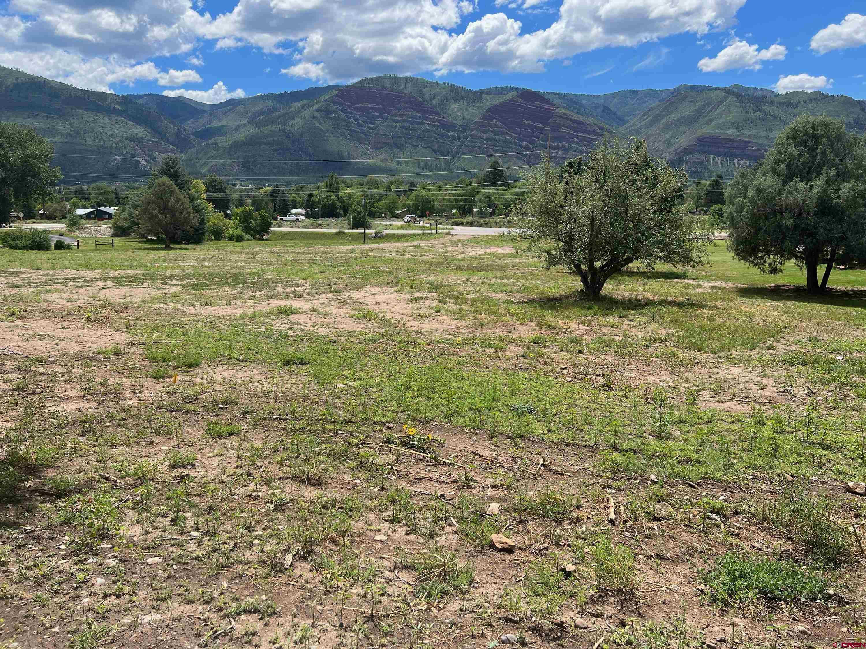 5 County Road 201 Durango, CO 81301 - Photo 10 of 26 a view of a green field with an trees