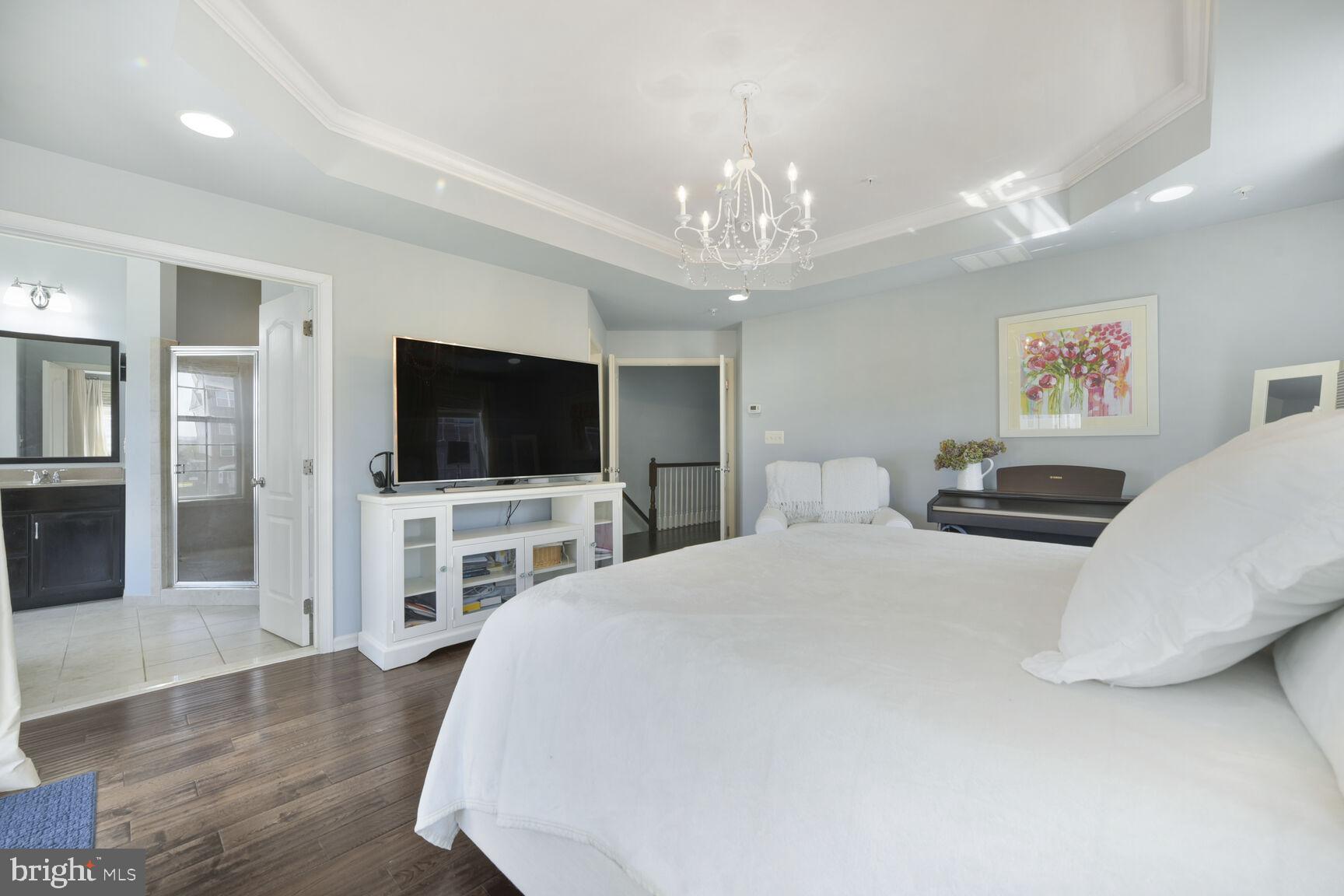 43037 Clarks Mill Terrace Ashburn, VA 20148 - Photo 20 of 28 a spacious bedroom with a bed and a flat screen tv