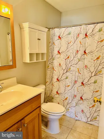 a bathroom with a sink and a toilet