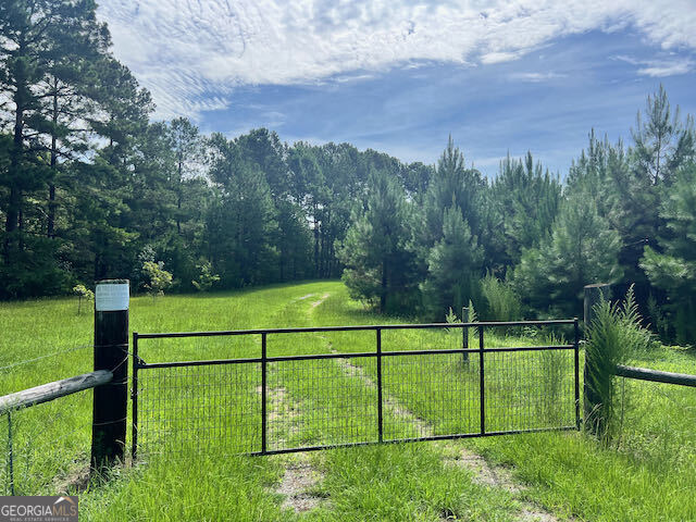7660 Warrenton Mitchell Road Mitchell, GA 30820 - Photo 1 of 1 a view of a tennis court