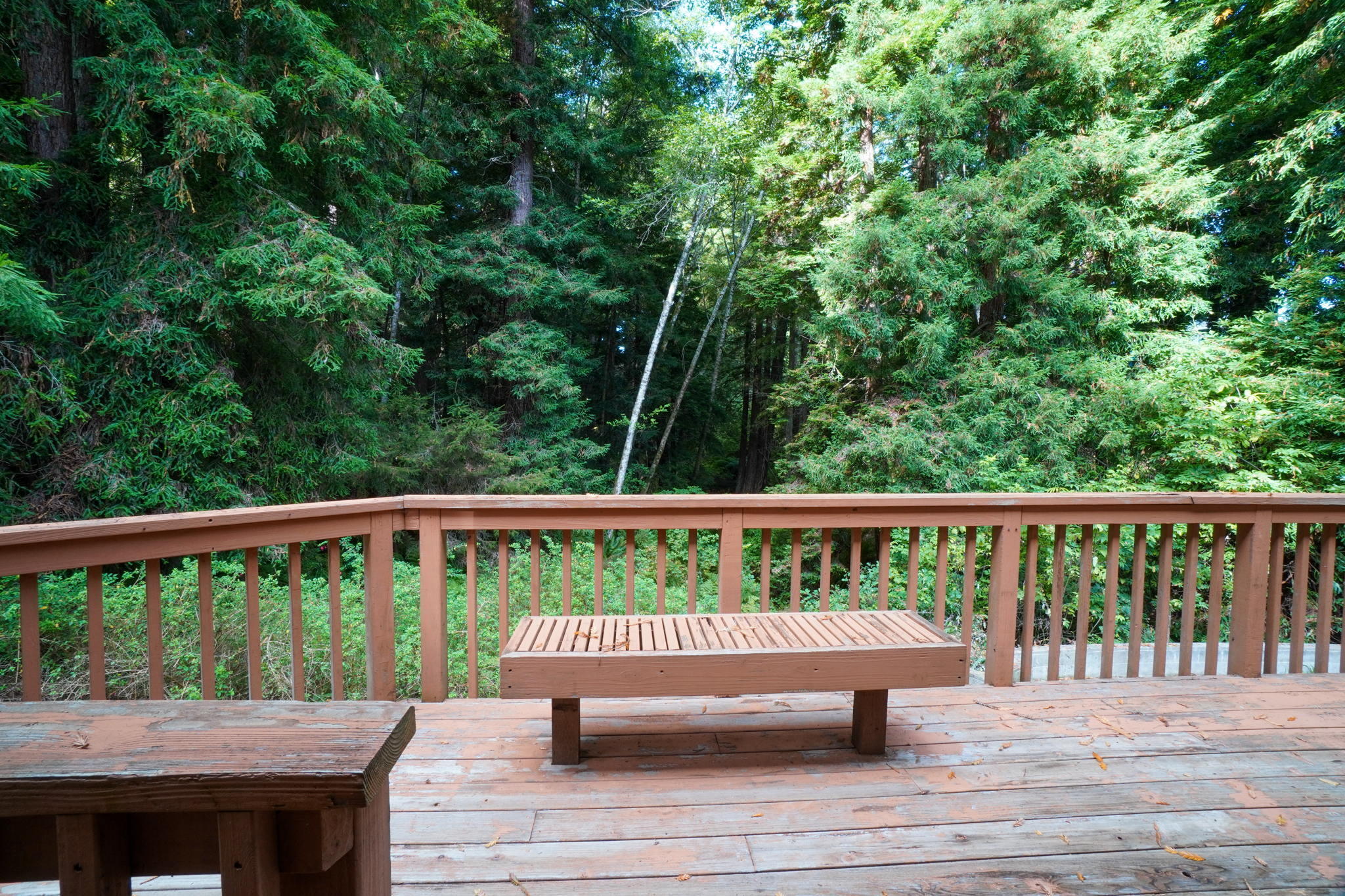 4500 Excelsior Road Eureka, CA 95503 - Photo 67 of 70 68-web-or-mls-DSC03970