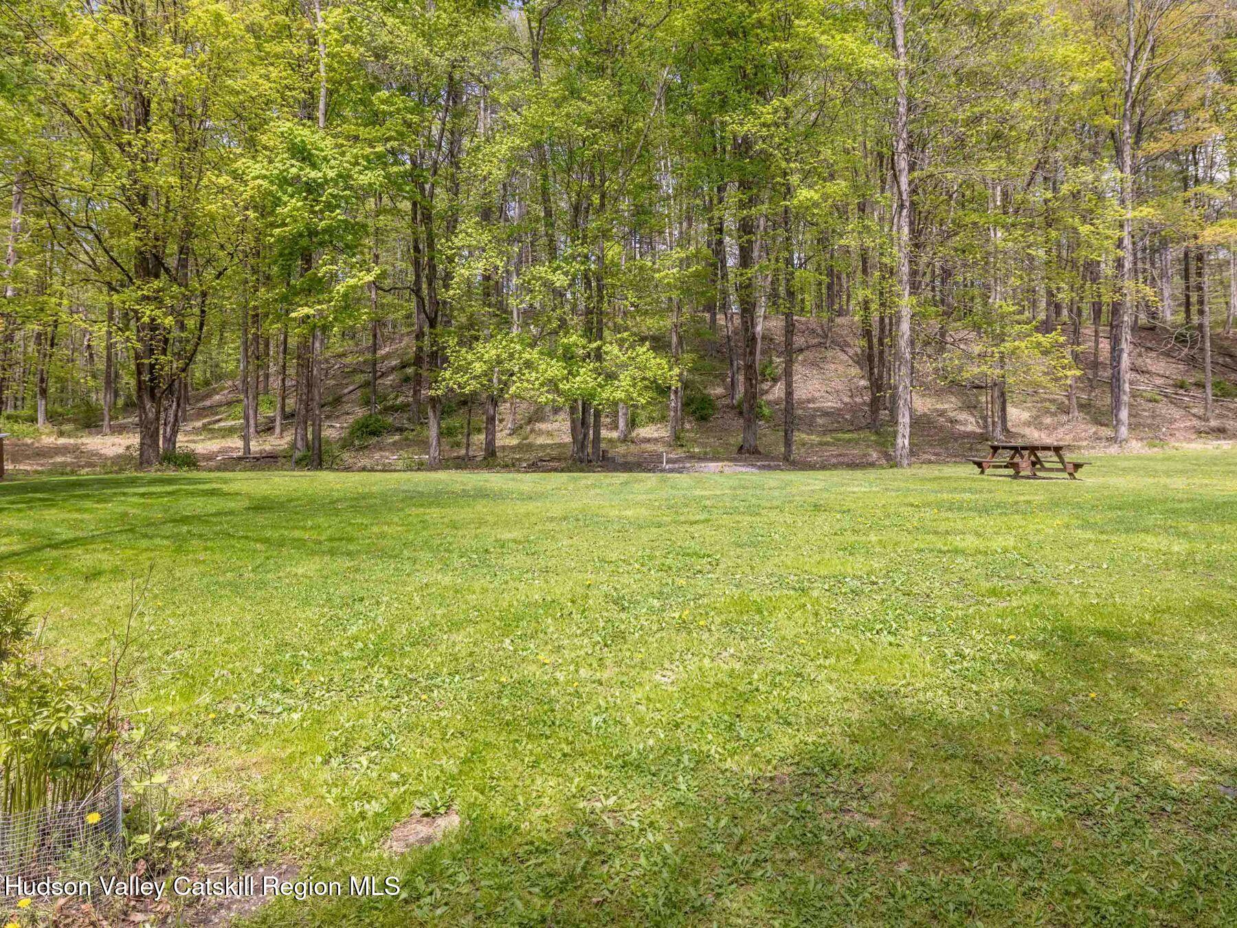 3639 Atwood Road Stone Ridge, NY 12484 - Photo 11 of 31 a view of a trees with a big yard