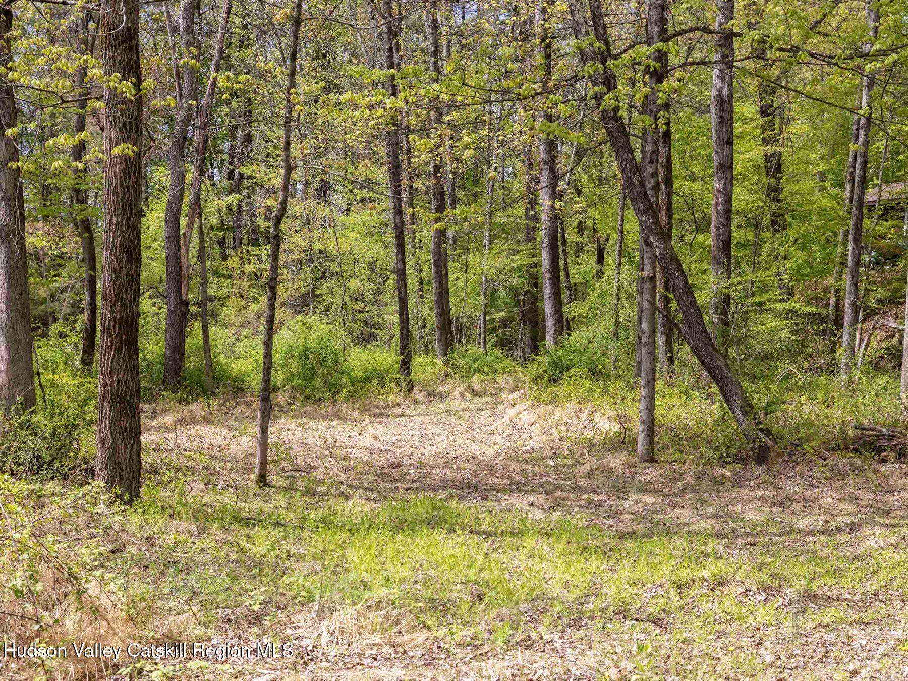 3639 Atwood Road Stone Ridge, NY 12484 - Photo 30 of 31 a view of a yard with plants and large trees