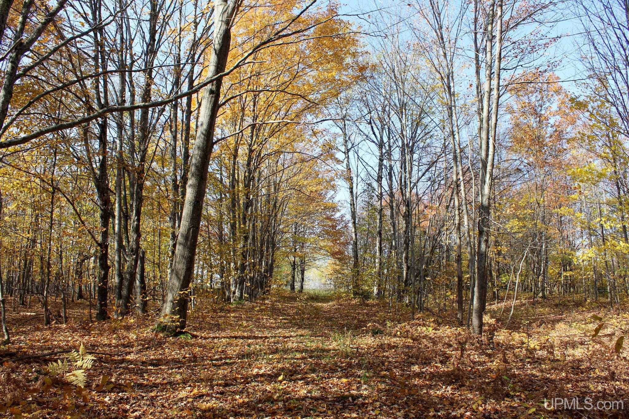 Tbd Pike River Road Chassell, MI 49916 - Photo 1 of 57 Gallery Image 1