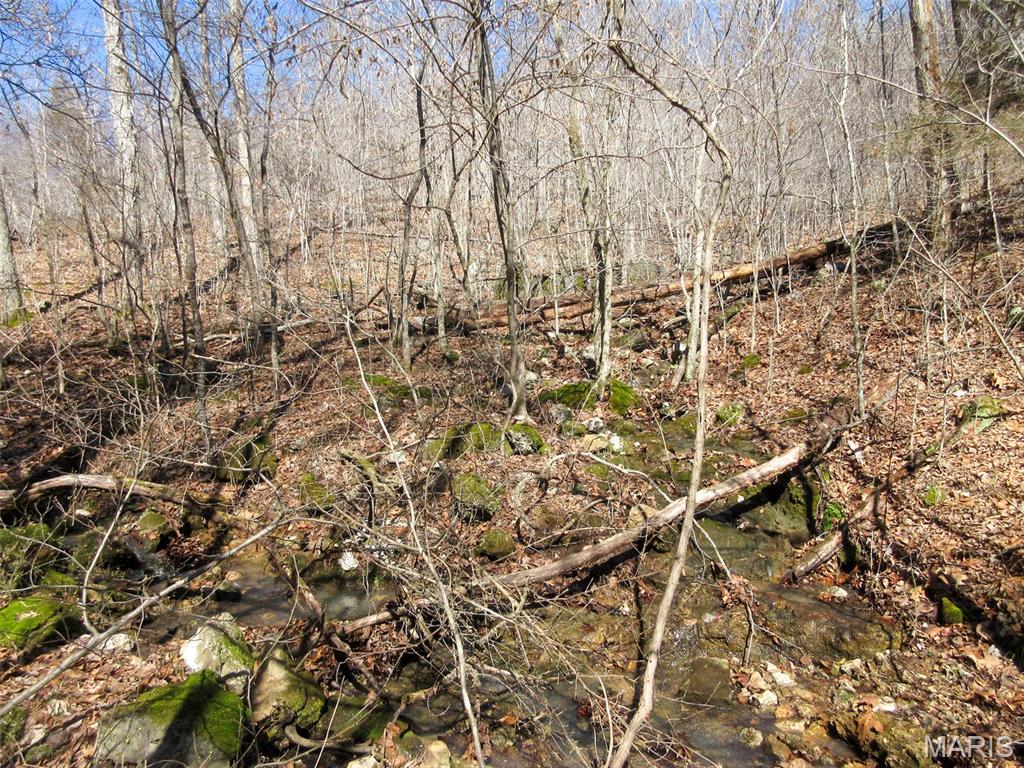 10331 Hopkins Road Potosi, MO 63664 - Photo 37 of 76