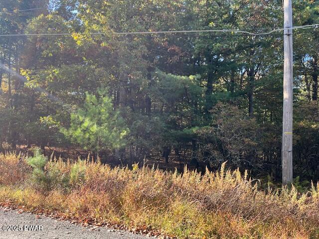 Lot 247 Squirrel Road Dingmans Ferry, PA 18328 - Photo 5 of 10