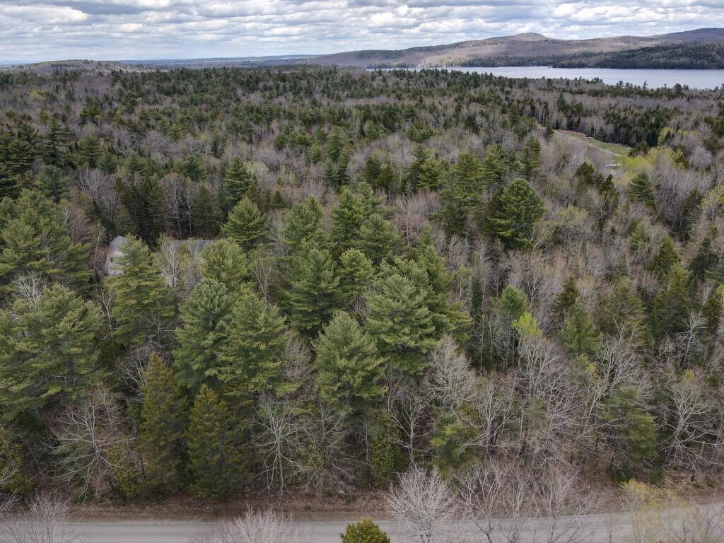M004-l009e East Bucksport Road Orrington, ME 04474 - Photo 4 of 15