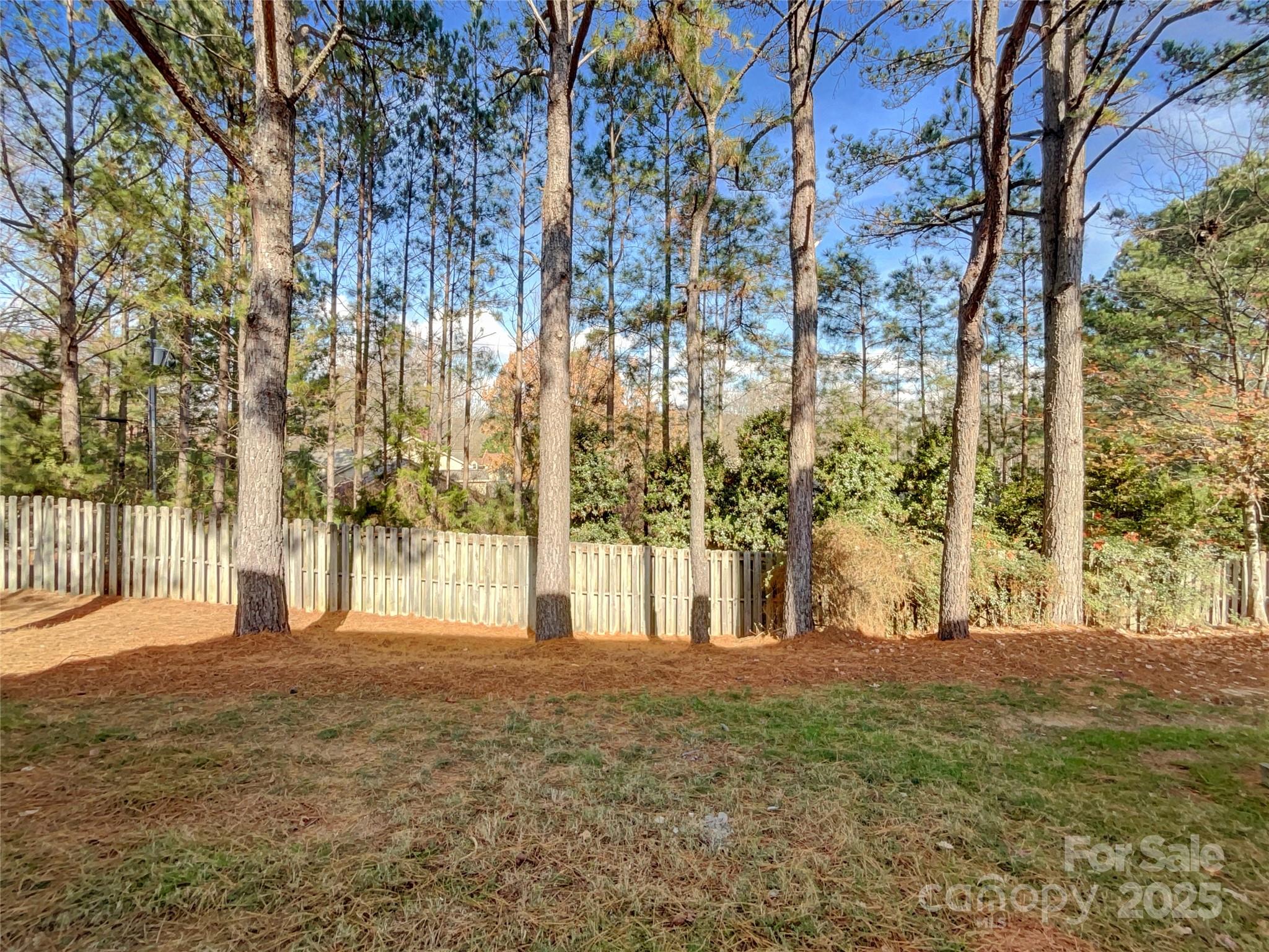 9028 4 Mile Creek Road Charlotte, NC 28277 - Photo 18 of 20