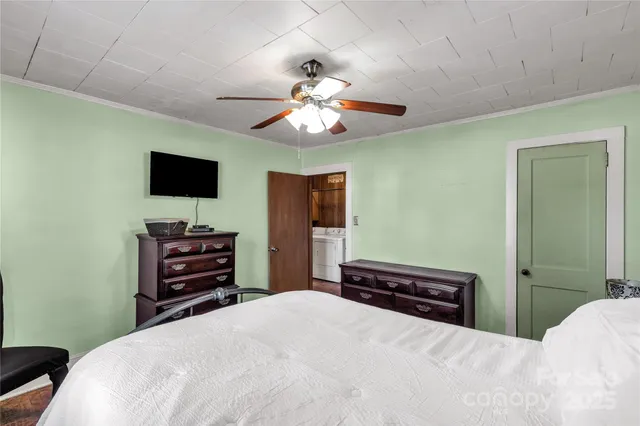 a tree in the middle of a yard