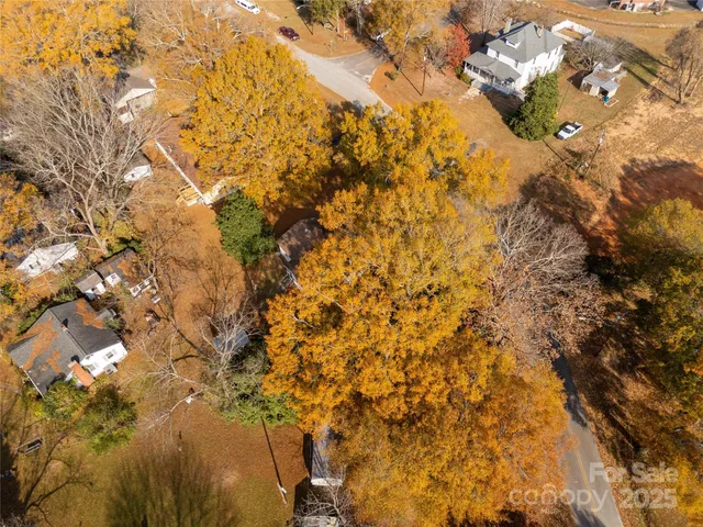 a view of a yard with plants and trees