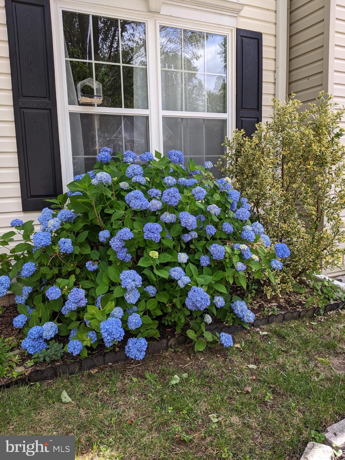 725 Shallow Ridge Court Abingdon, MD 21009 - Photo 3 of 43
