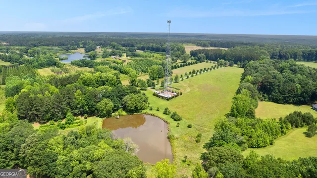 a view of a park with large trees