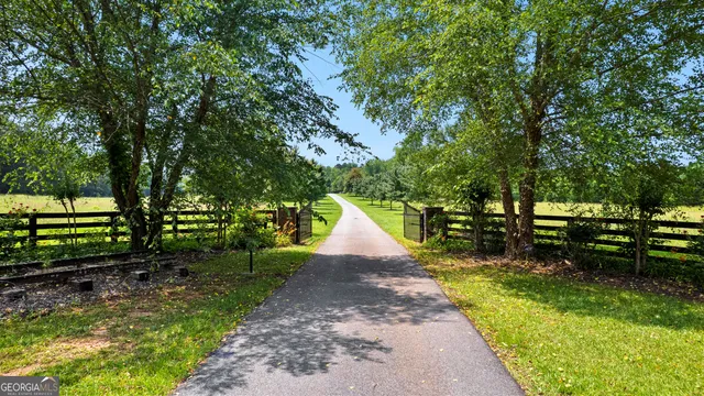 a view of a yard with large trees