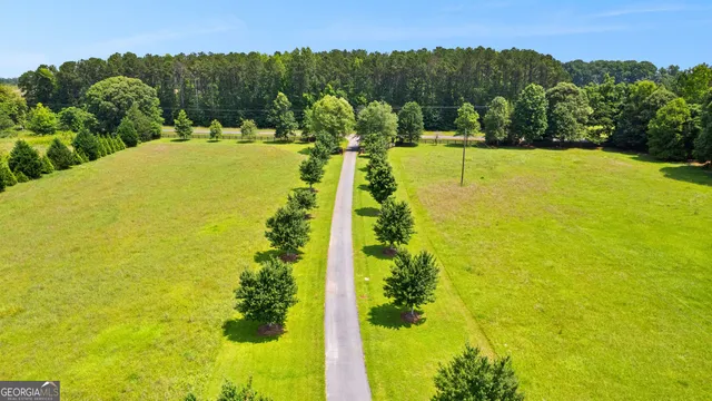 a view of a backyard with table and chairs and a large tree