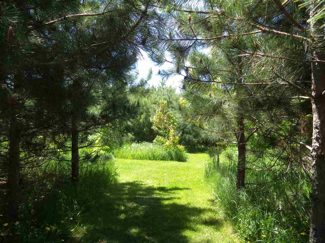 6909 Old State Road Whittemore, MI 48770 - Photo 38 of 41 1862456-37.JPG