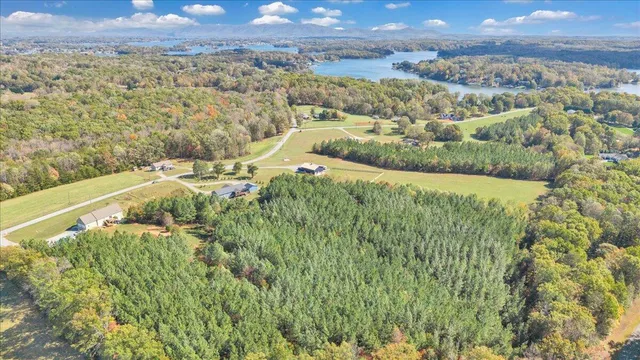 a view of a yard with large trees