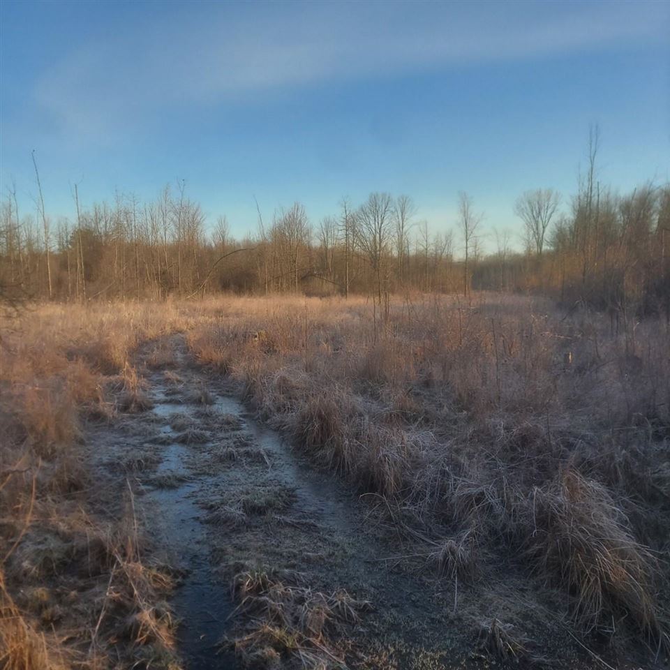 Tbd West Burns Road Coleman, MI 48618 - Photo 3 of 6