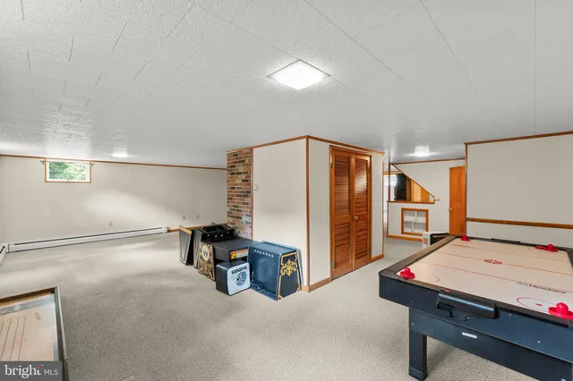 a view of a yard with plants and large trees