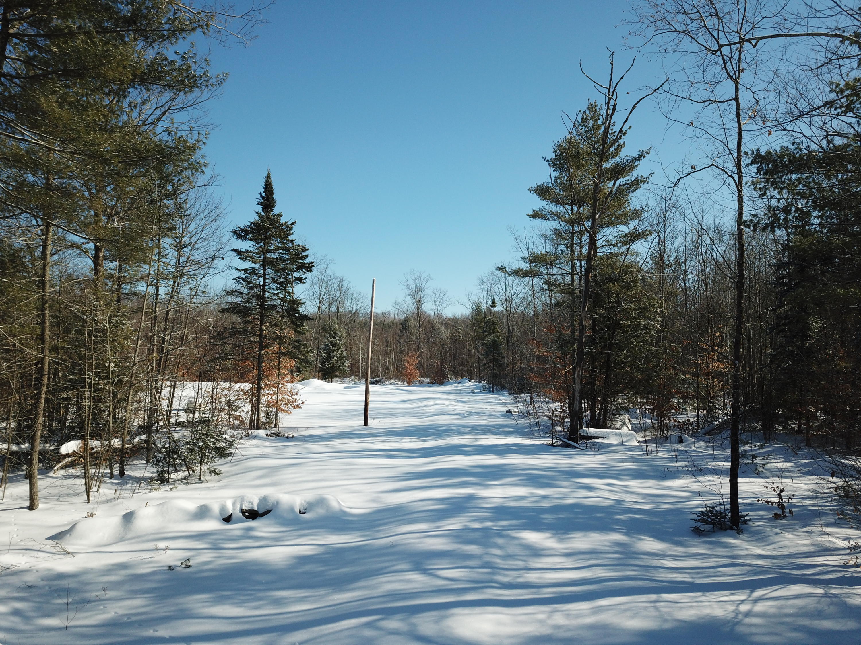 M4-l61-1 Intervale Road New Sharon, ME 04955 - Photo 5 of 38 TBD Intervale Rd