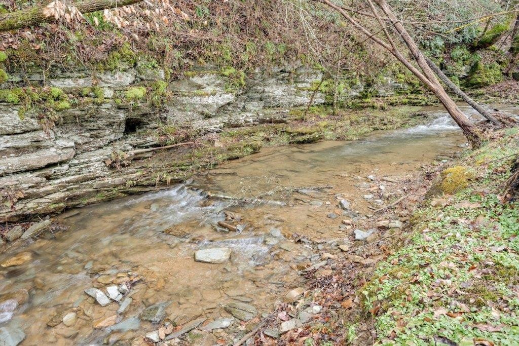3109 North Clear Fork Road Sevierville, TN 37862 - Photo 2 of 45 Gallery Image 2