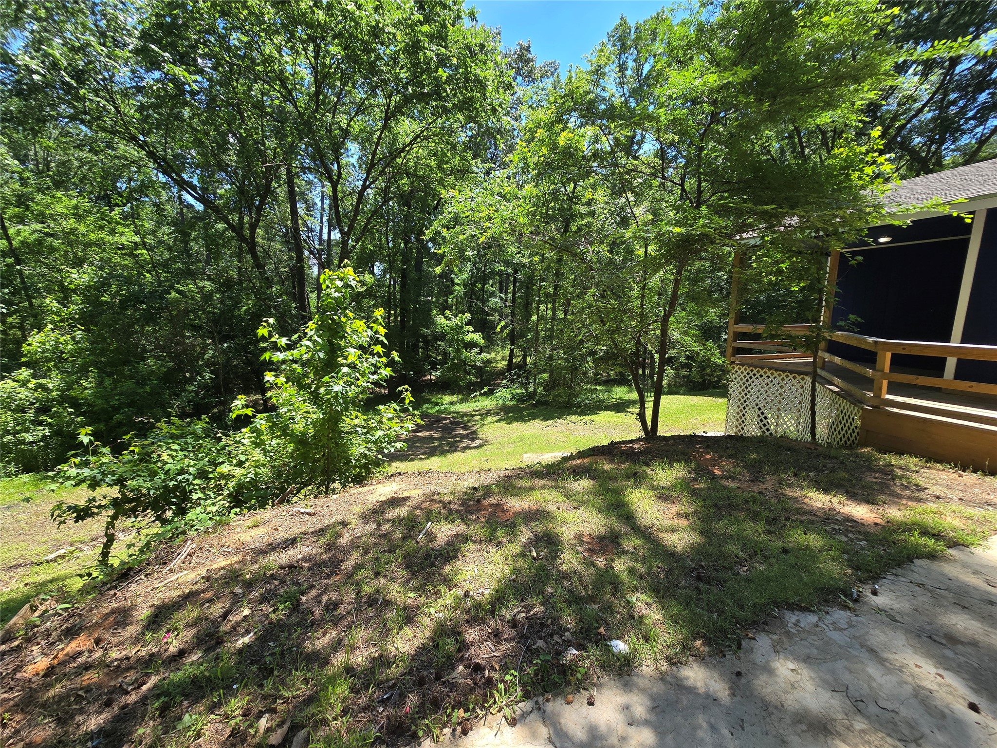 110 Hidden Circle Coldspring, TX 77331 - Photo 21 of 24 View of driveway and backyard.