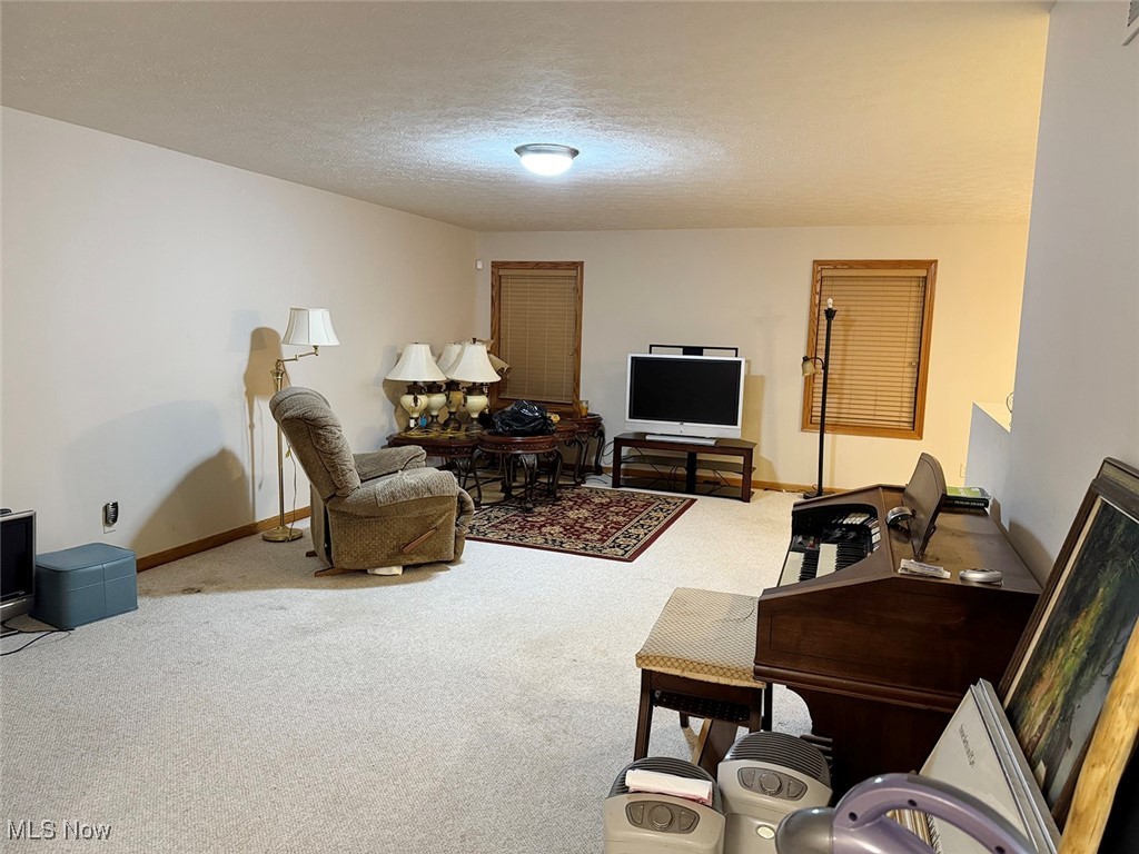 3718 Babcock Road Williamsfield, OH 44093 - Photo 22 of 31 Carpeted living room with a textured ceiling