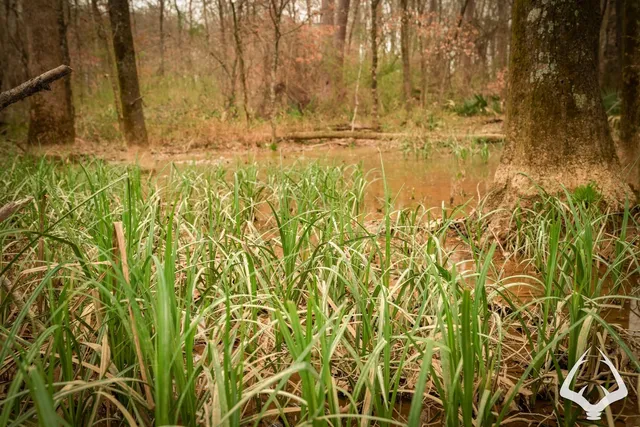 a view of under construction area