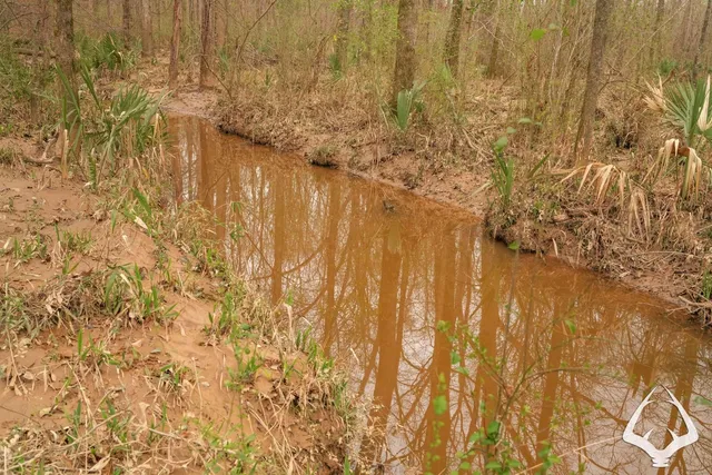 a bathroom with a tree