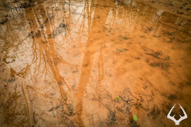 a view of shower and a yard