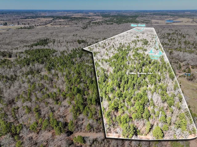 a view of wooden floor