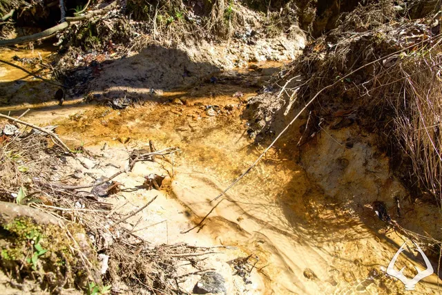 a bird view of a house